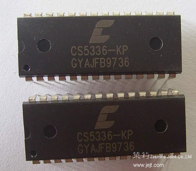 CS5336-KP face.JPG