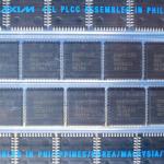 DS87C520-QCL_.JPG